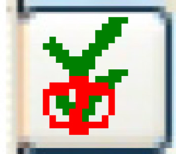 slectdes.jpg